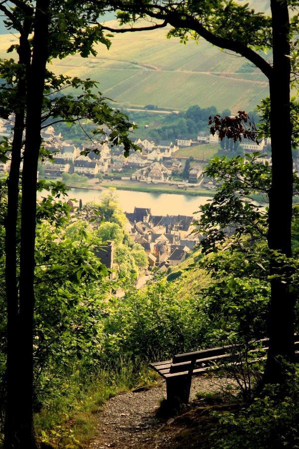 Mosel Panorama Appartement Zell Buitenkant foto